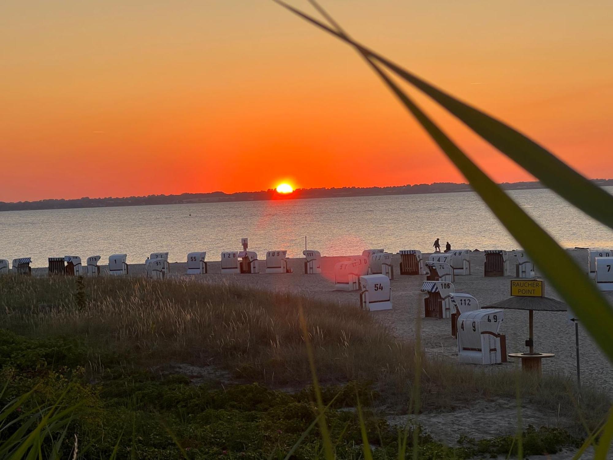 Neue Ferienwohnung An Der Ostsee,Terrasse,Sauna Surendorf 외부 사진